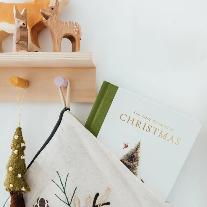 Paige & Tate- Our Little Adventure At Christmas (Baby's First Christmas)