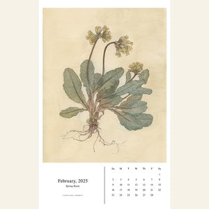 Carleigh Courey Fine Art Wall Calendar 2025