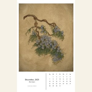 Carleigh Courey Fine Art Wall Calendar 2025