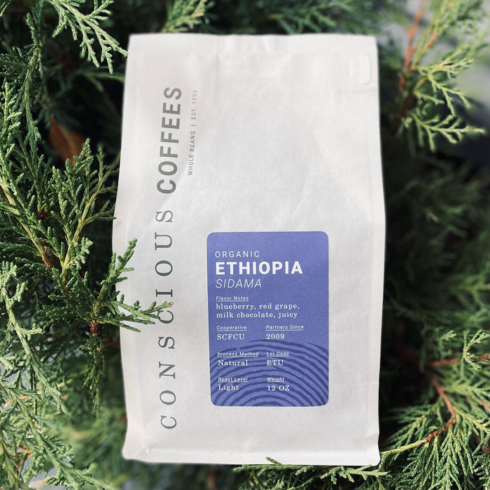 Conscious Coffee - Ethiopia - Sidama Region, Natural Process  look